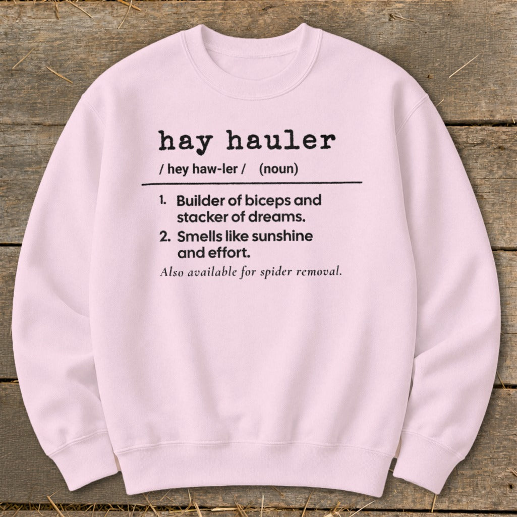 Pink sweatshirt with "hay hauler" definition and funny sayings.