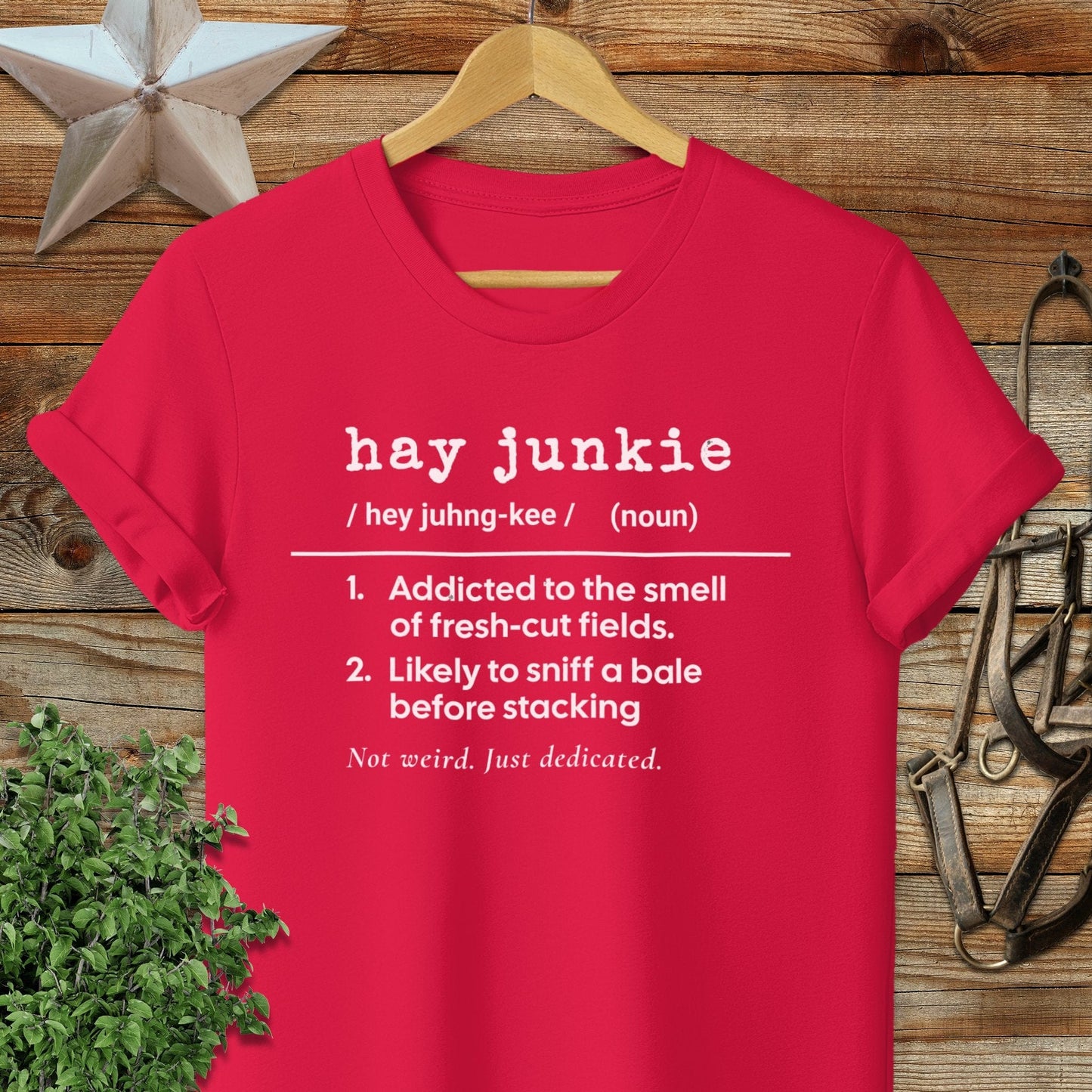 Hay Junkie Definition T-shirt