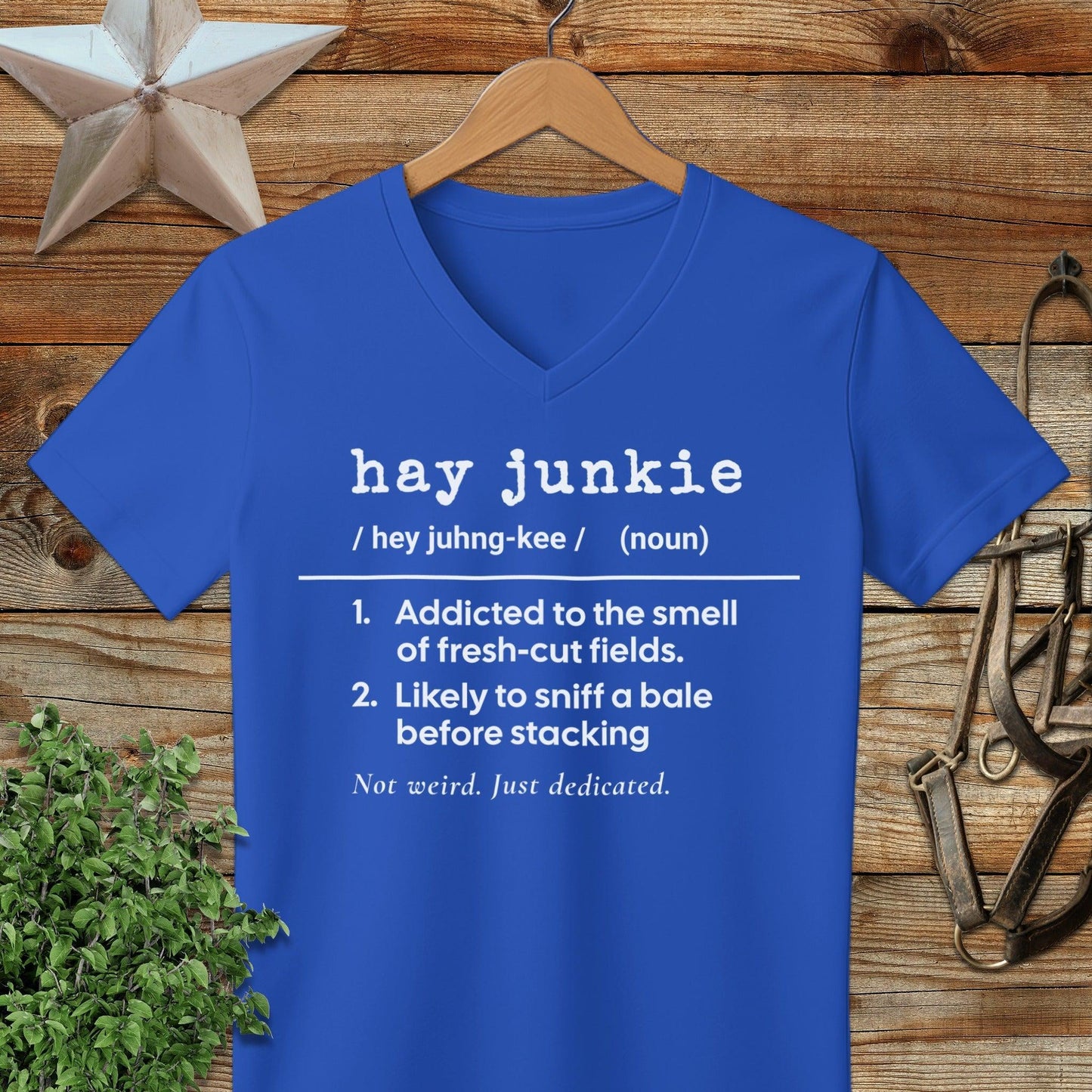 Hay Junkie Definition V-neck