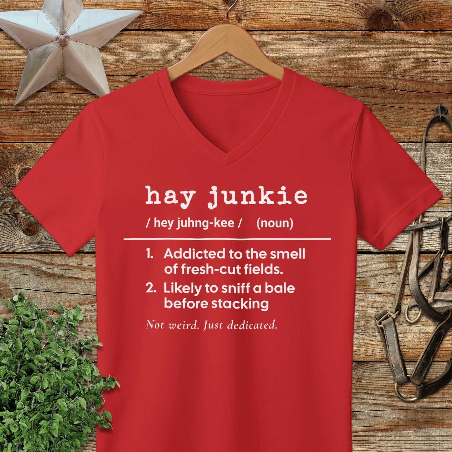 Hay Junkie Definition V-neck