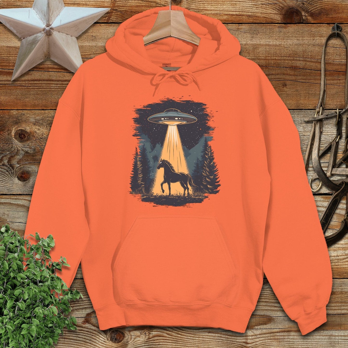 Horse Alien Abduction Hoodie