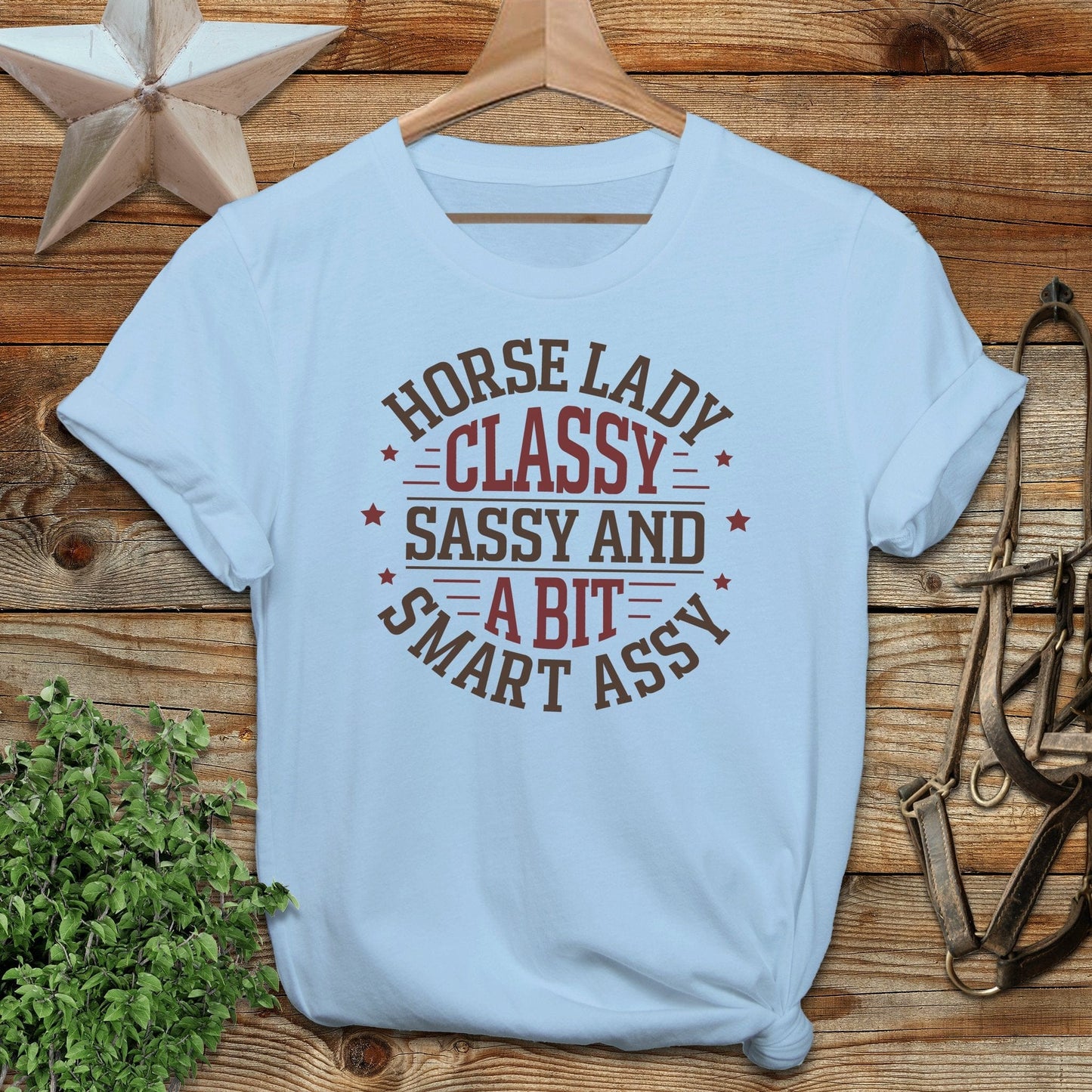 Horse Lady Classy Sassy T-shirt