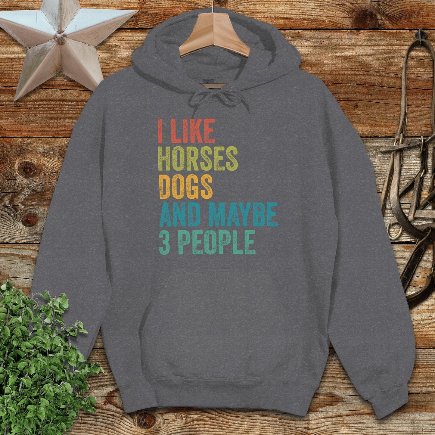 I Like Horses Hoodie