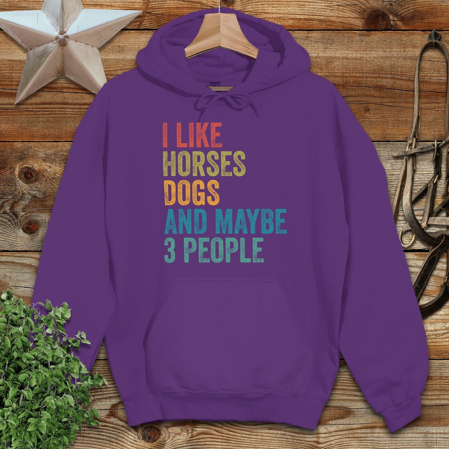 I Like Horses Hoodie