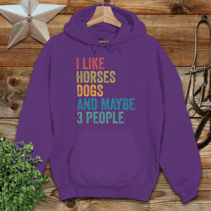 I Like Horses Hoodie