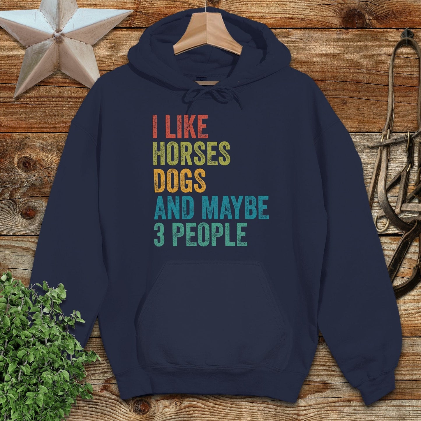 I Like Horses Hoodie