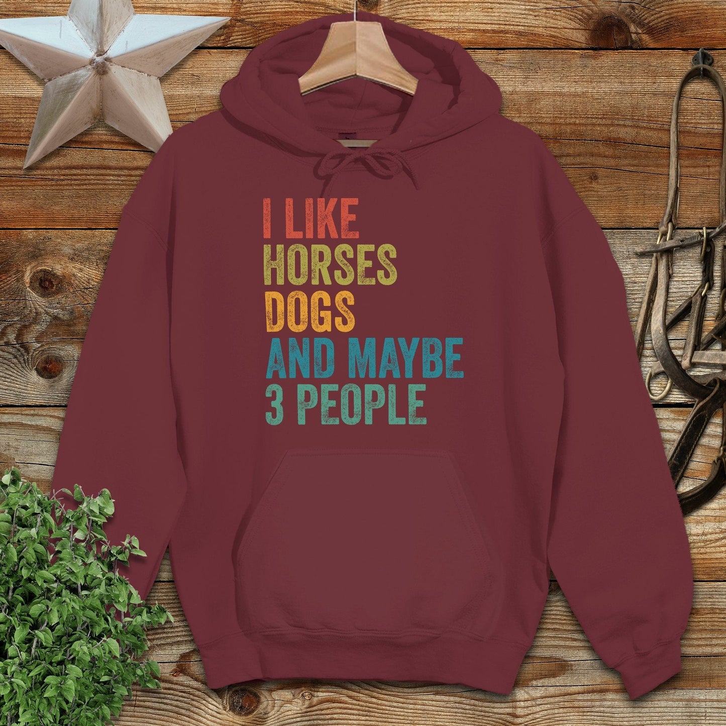 I Like Horses Hoodie