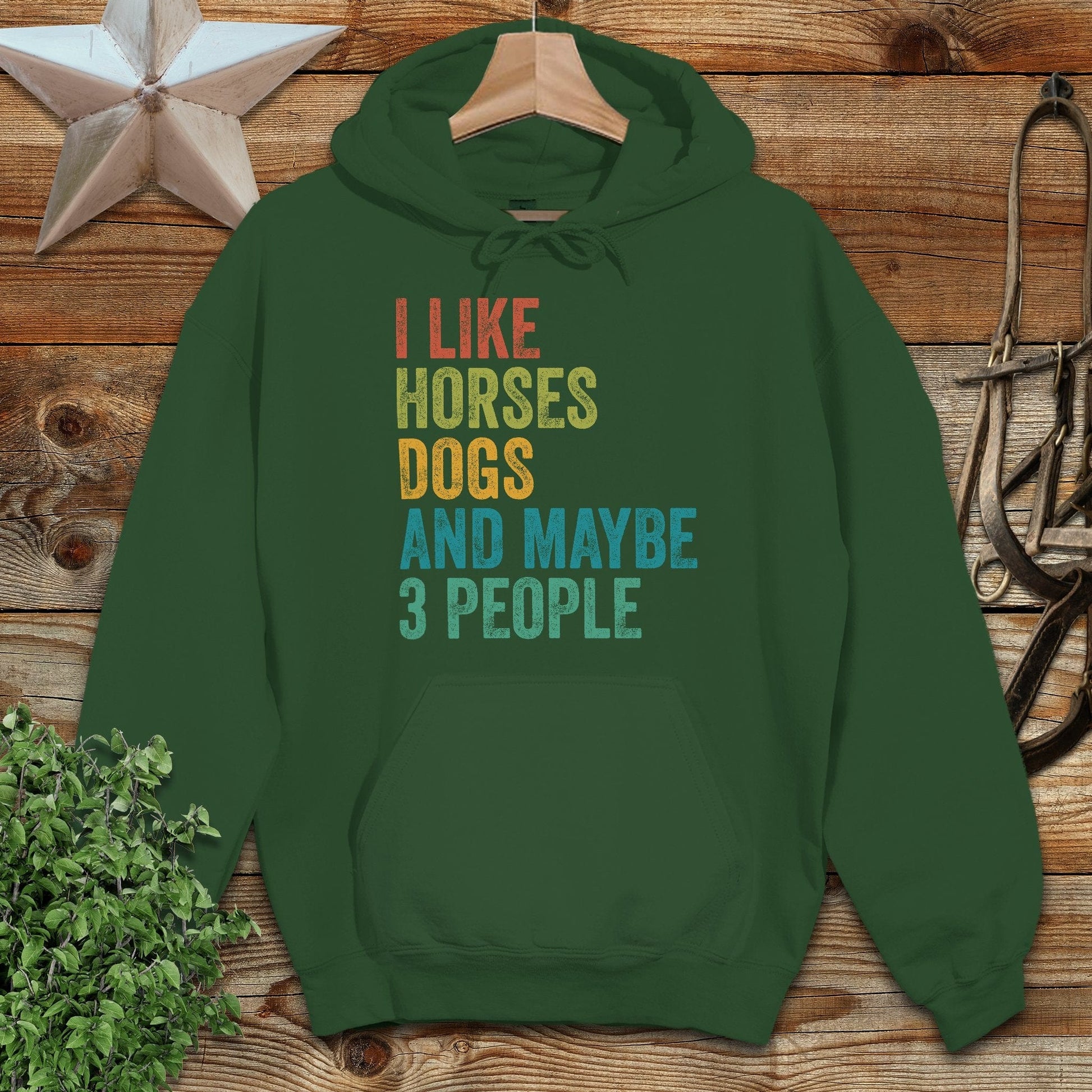 I Like Horses Hoodie