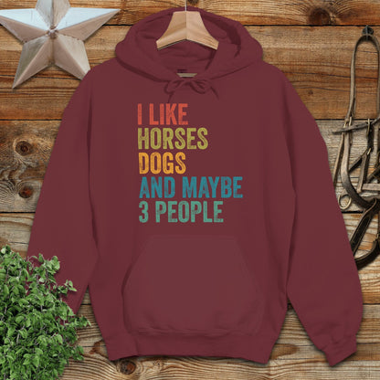 I Like Horses Hoodie