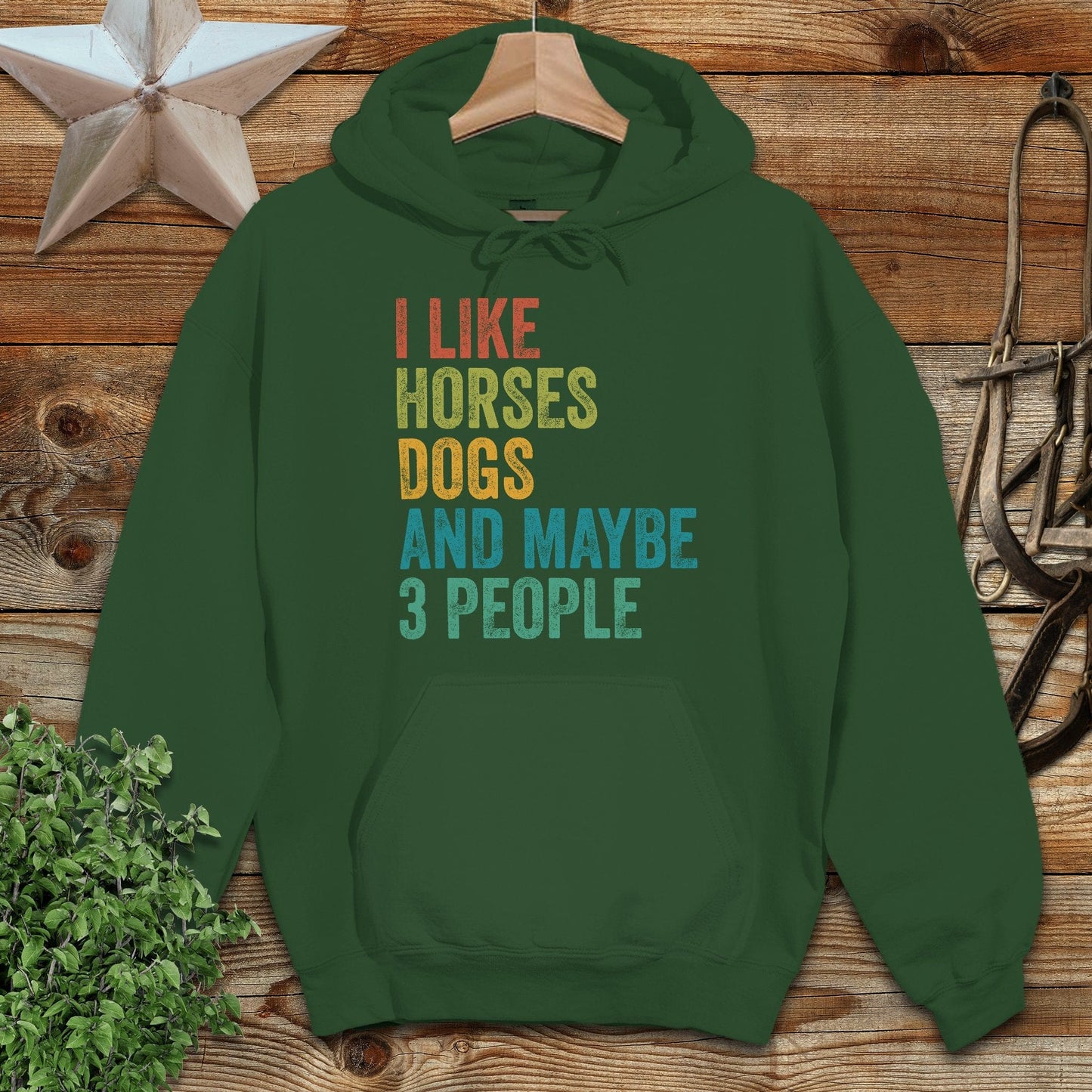 I Like Horses Hoodie