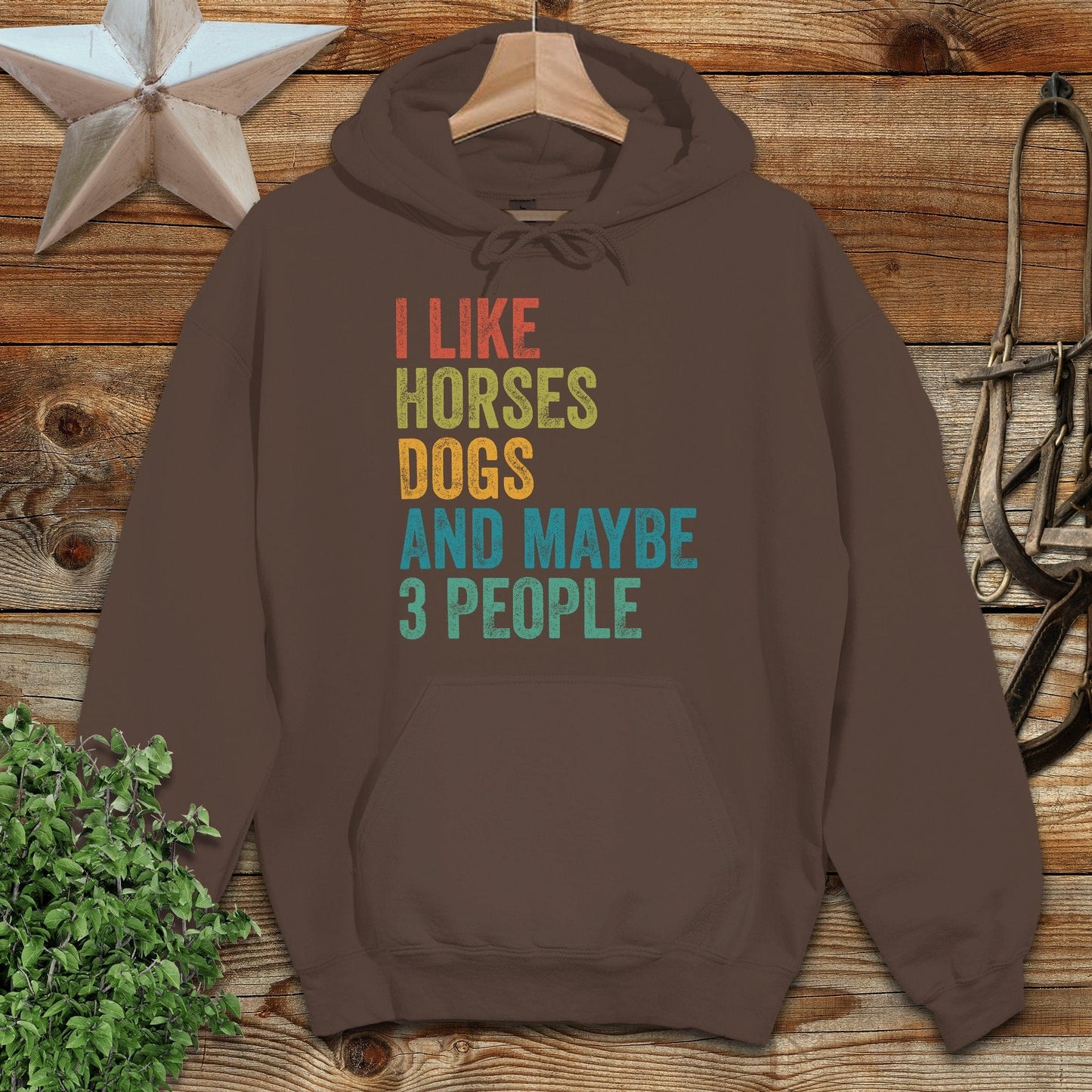 I Like Horses Hoodie