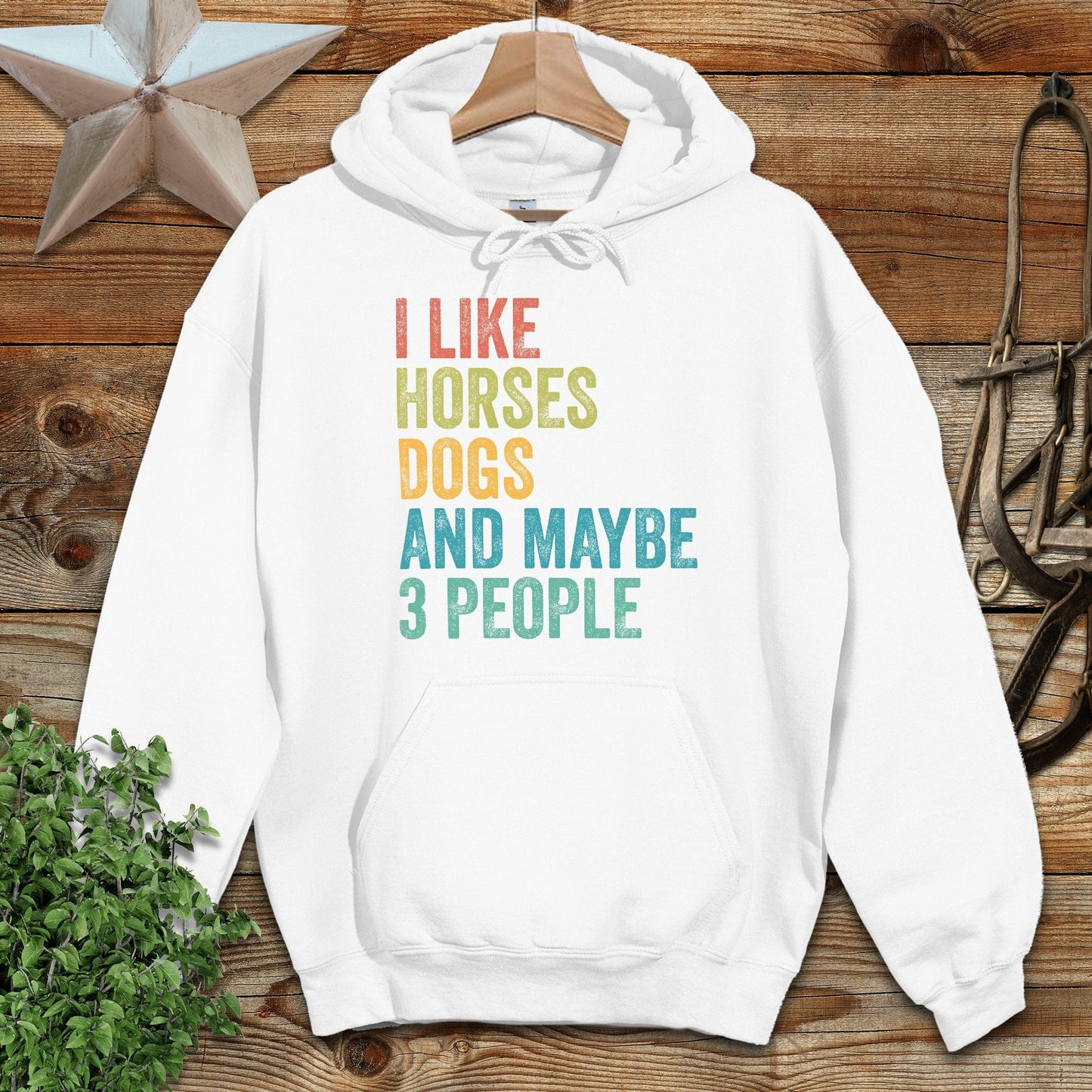 I Like Horses Hoodie
