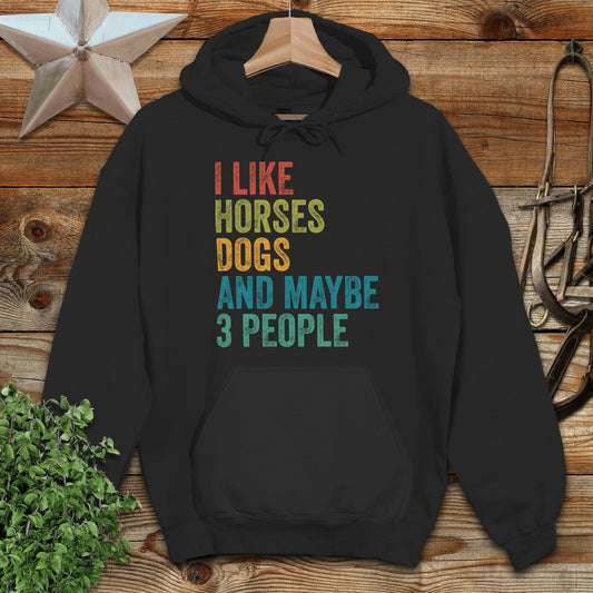 I Like Horses Hoodie