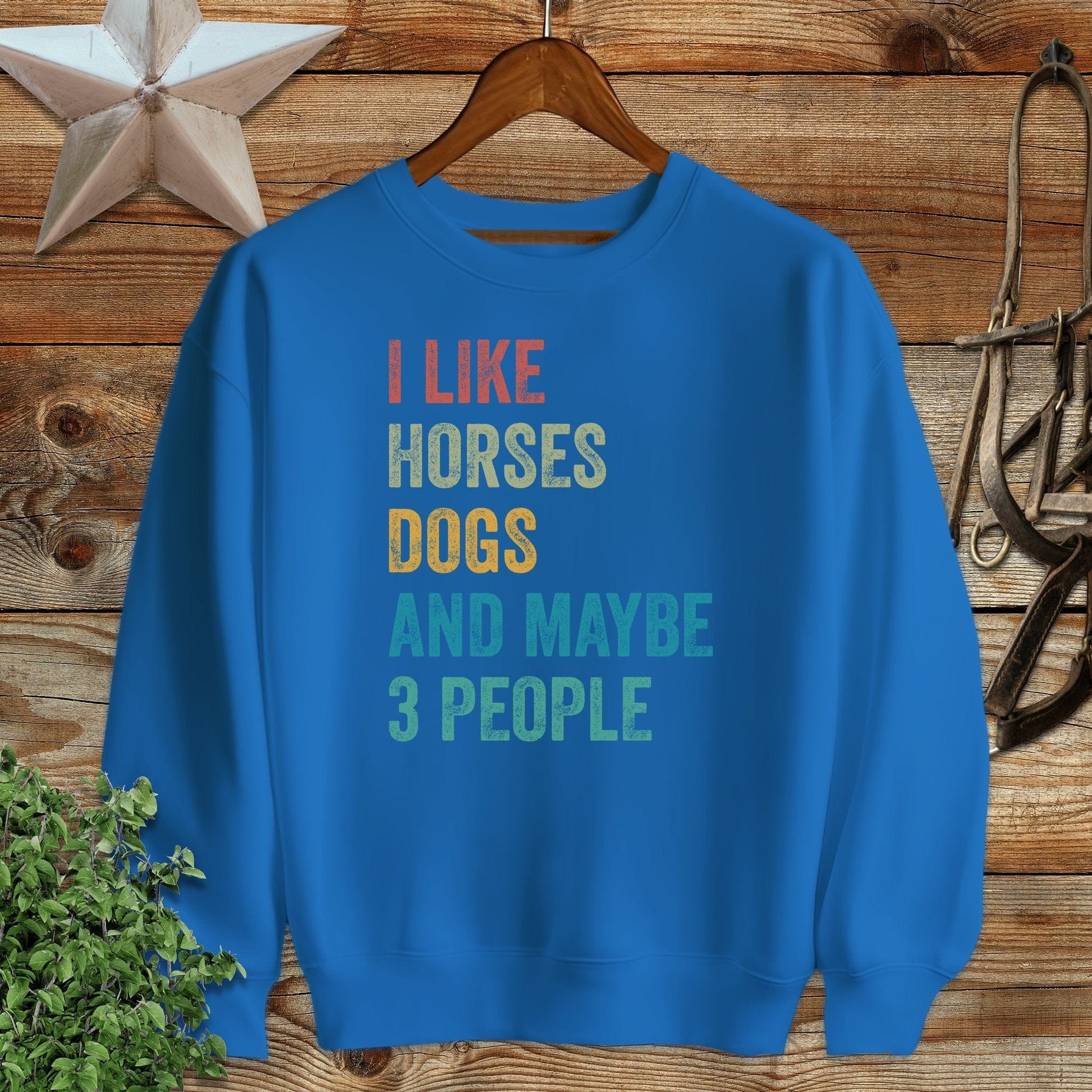 I Like Horses Sweatshirt