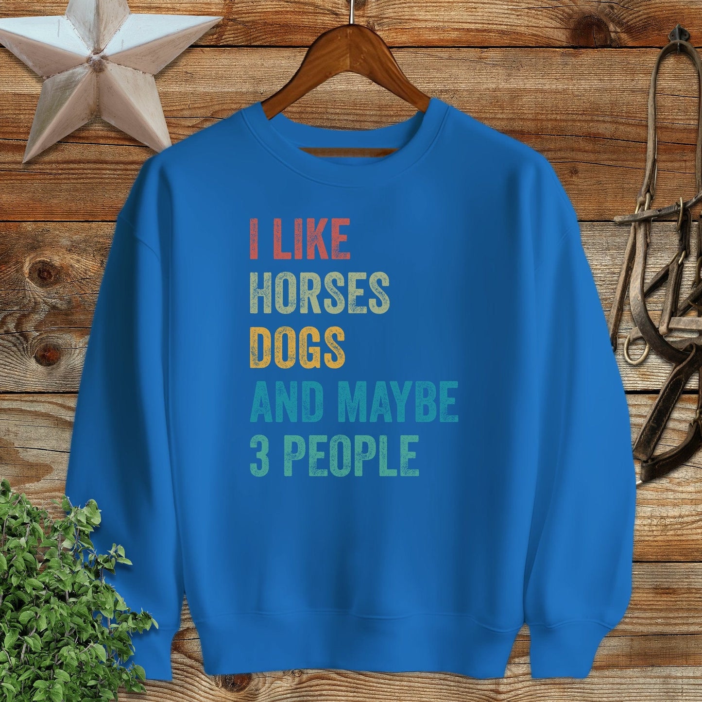 I Like Horses Sweatshirt