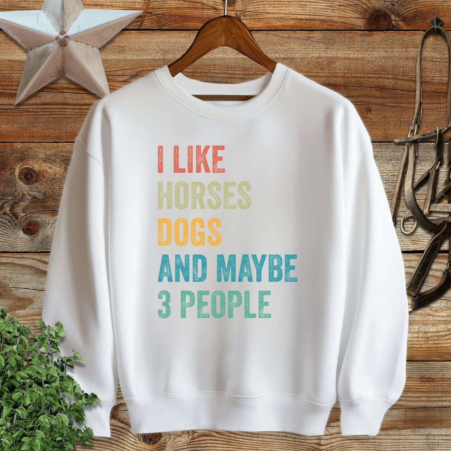 I Like Horses Sweatshirt