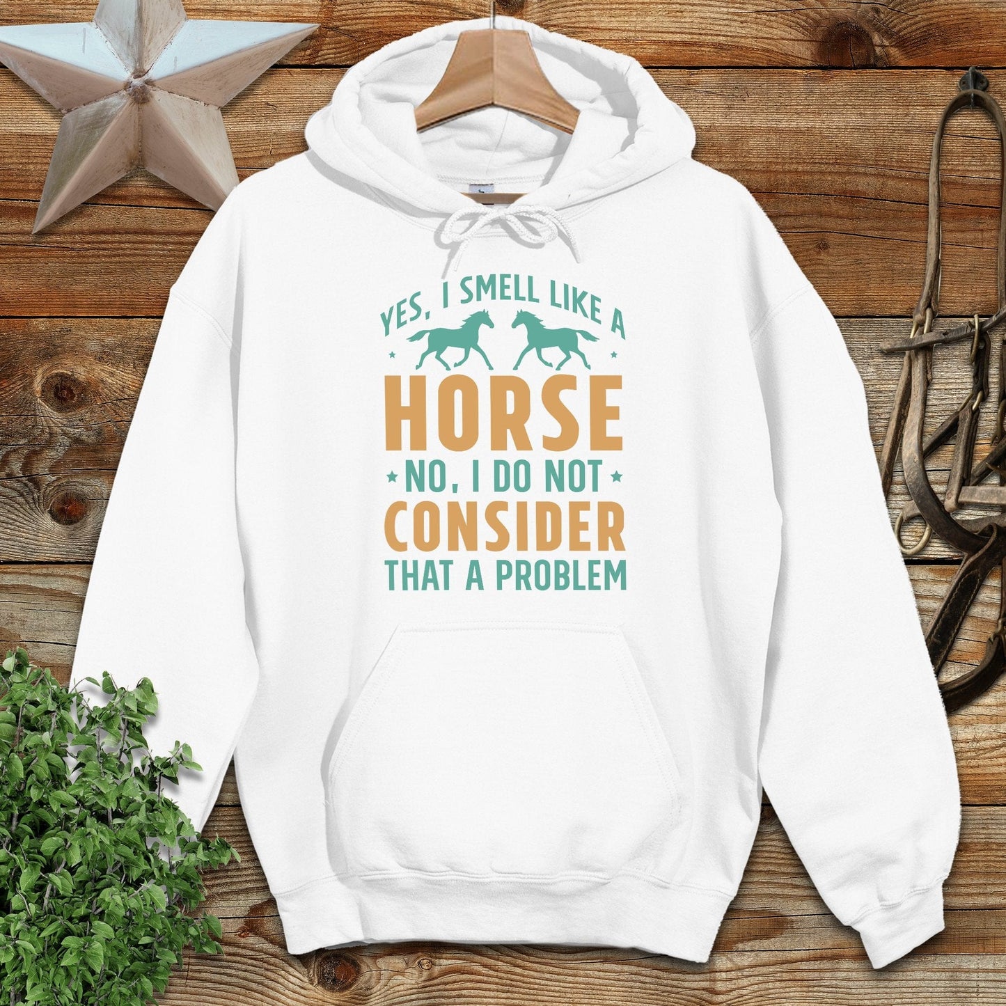 I Smell Like a Horse Hoodie