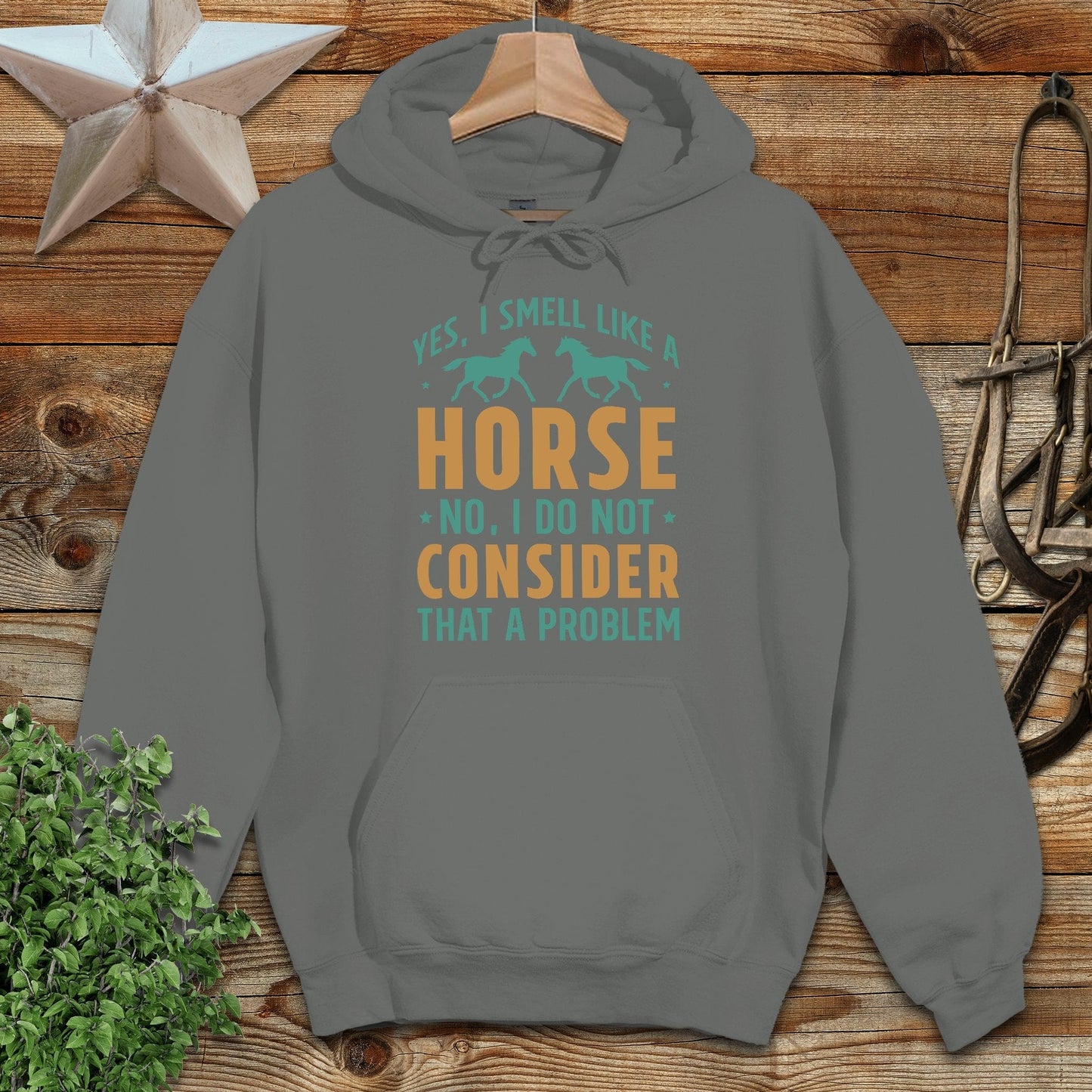 I Smell Like a Horse Hoodie