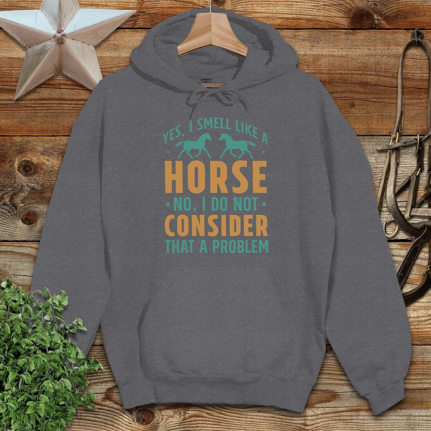 I Smell Like a Horse Hoodie