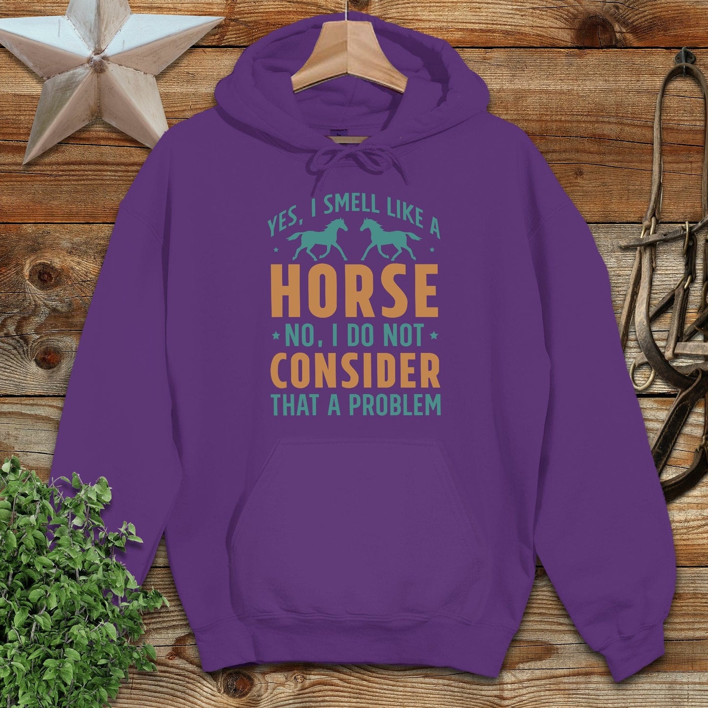 I Smell Like a Horse Hoodie