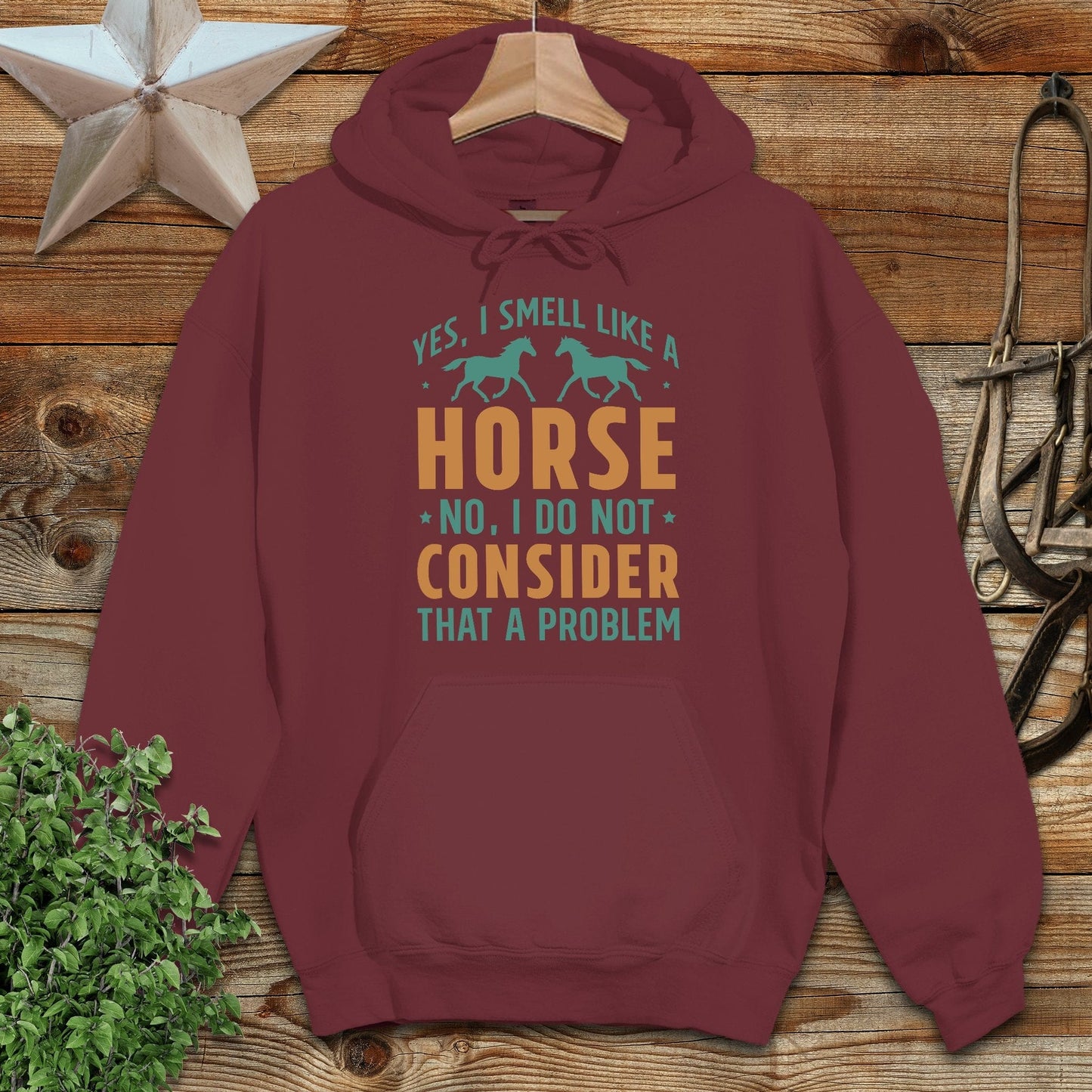 I Smell Like a Horse Hoodie