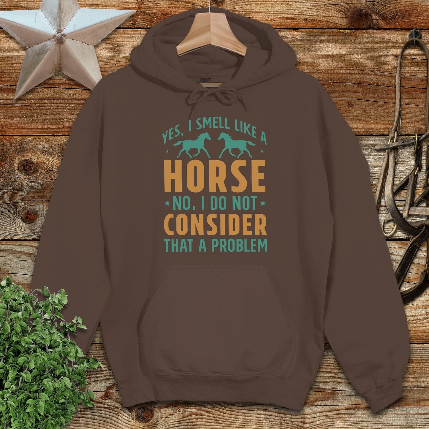 I Smell Like a Horse Hoodie