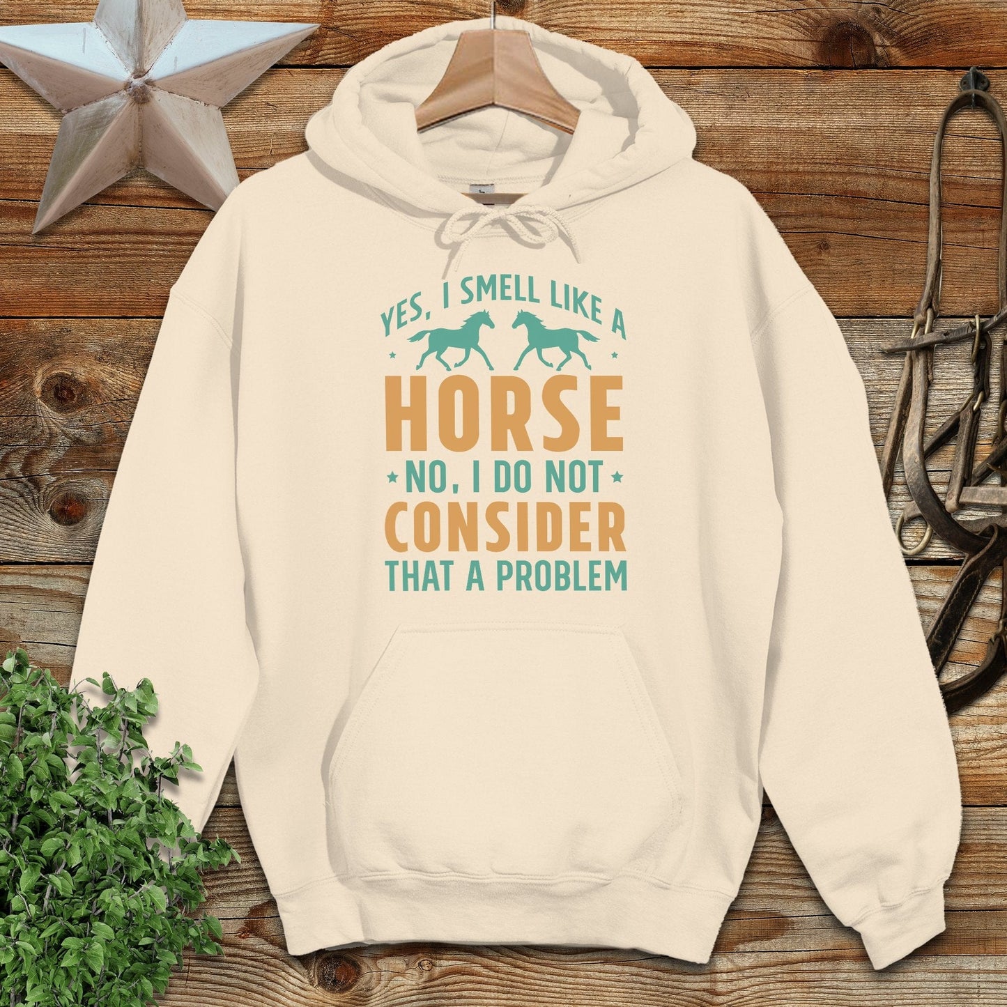 I Smell Like a Horse Hoodie