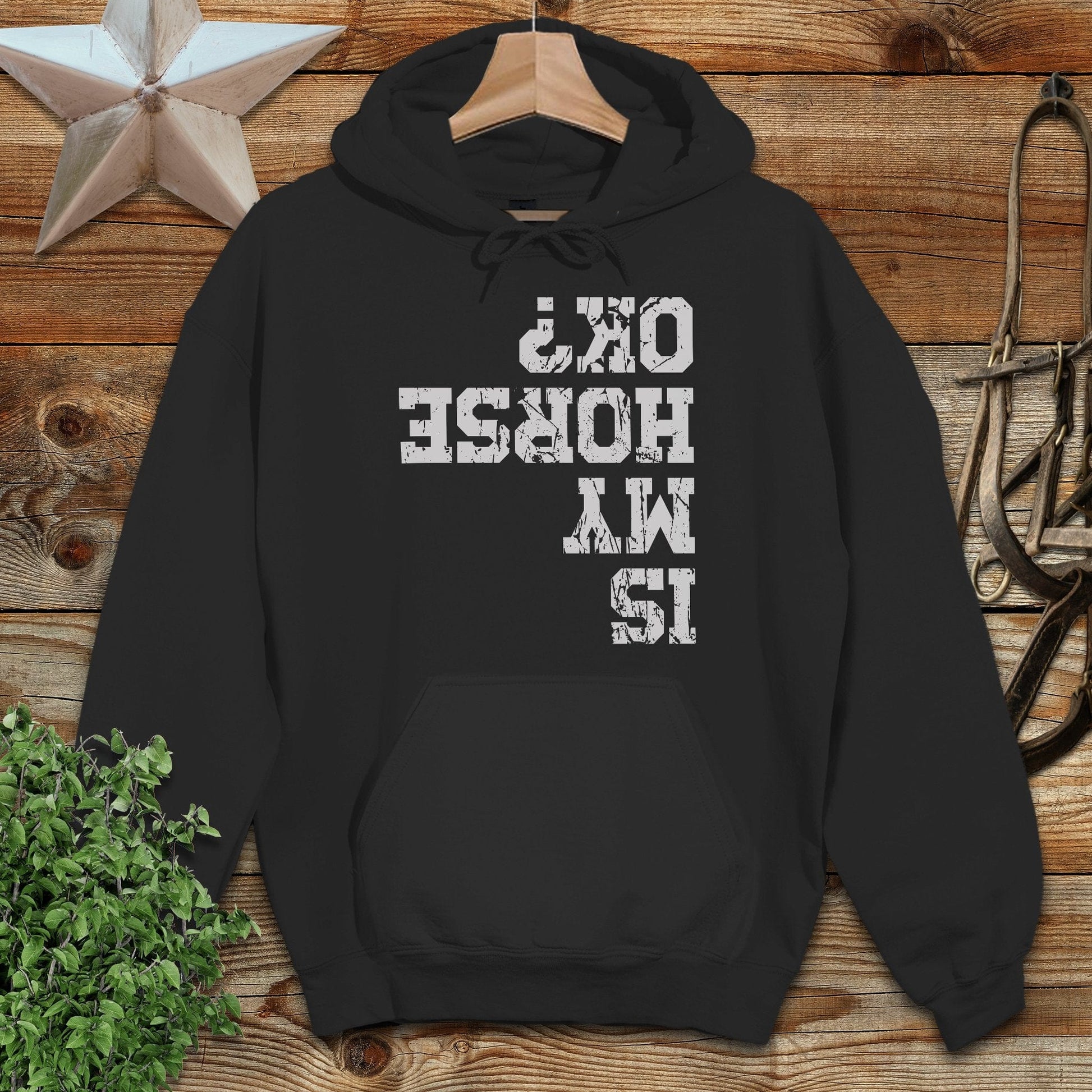 Is My Horse OK Hoodie