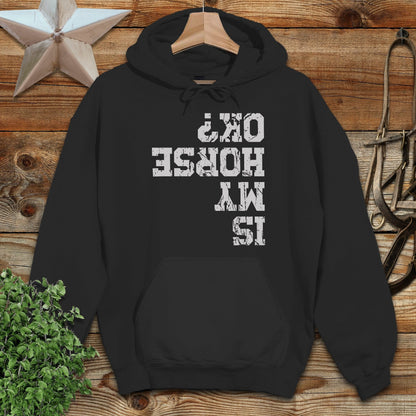 Is My Horse OK Hoodie