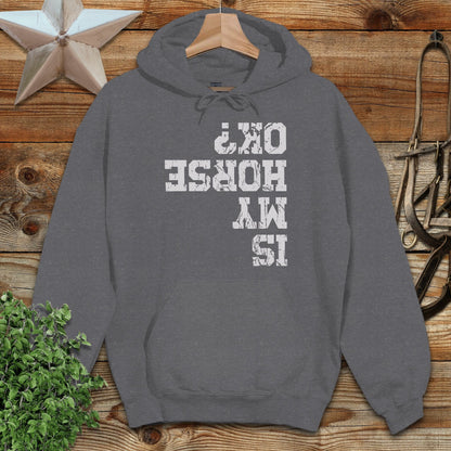 Is My Horse OK Hoodie