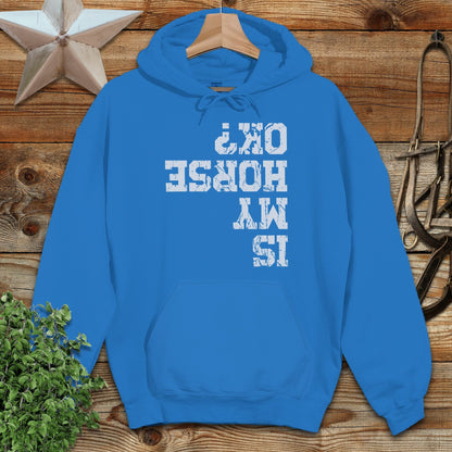 Is My Horse OK Hoodie
