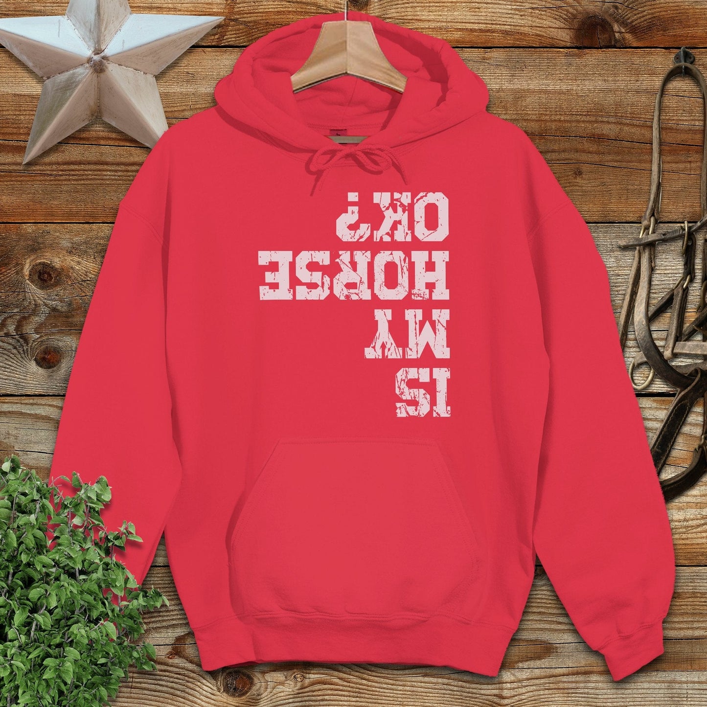 Is My Horse OK Hoodie