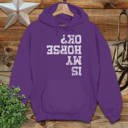 Is My Horse OK Hoodie