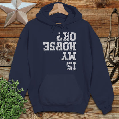 Is My Horse OK Hoodie
