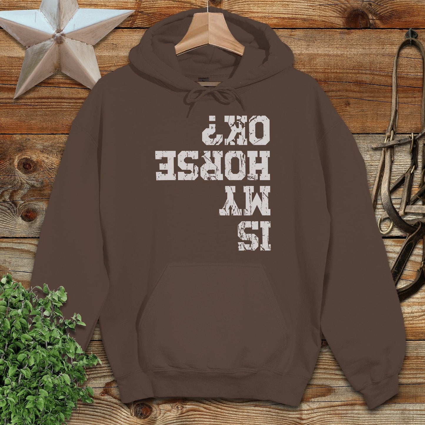 Is My Horse OK Hoodie