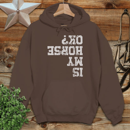 Is My Horse OK Hoodie