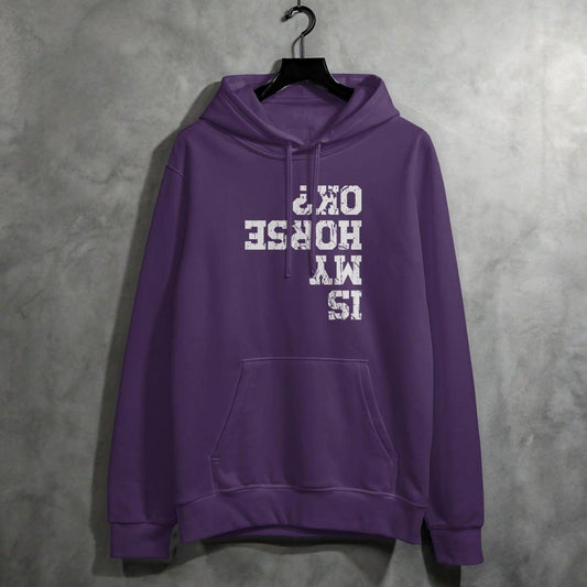 Is My Horse OK Hoodie