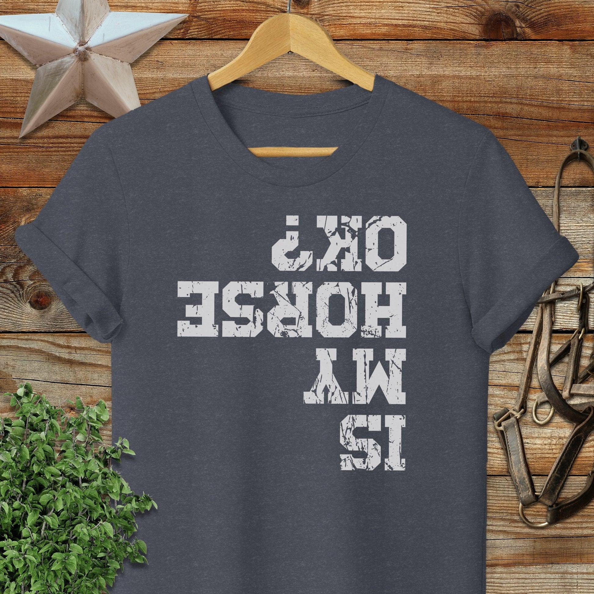 Is My Horse OK Softstyle Tee