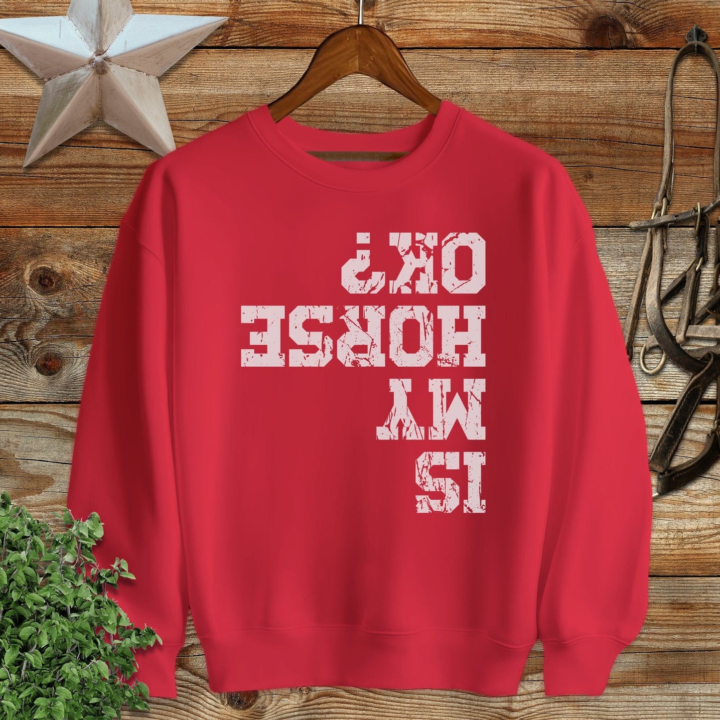 Is My Horse OK Sweatshirt
