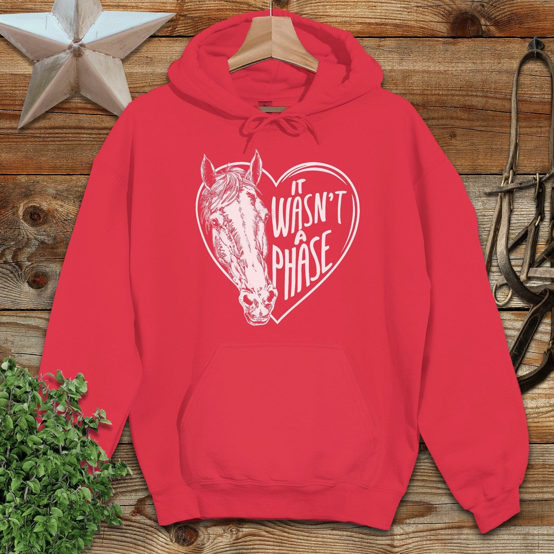 It Wasn't a Phase Hoodie