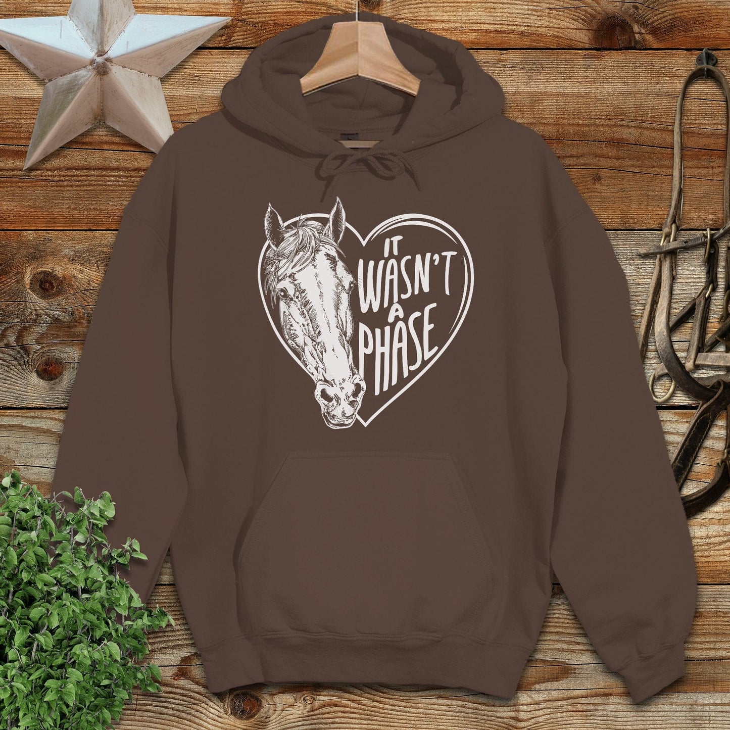 It Wasn't a Phase Hoodie