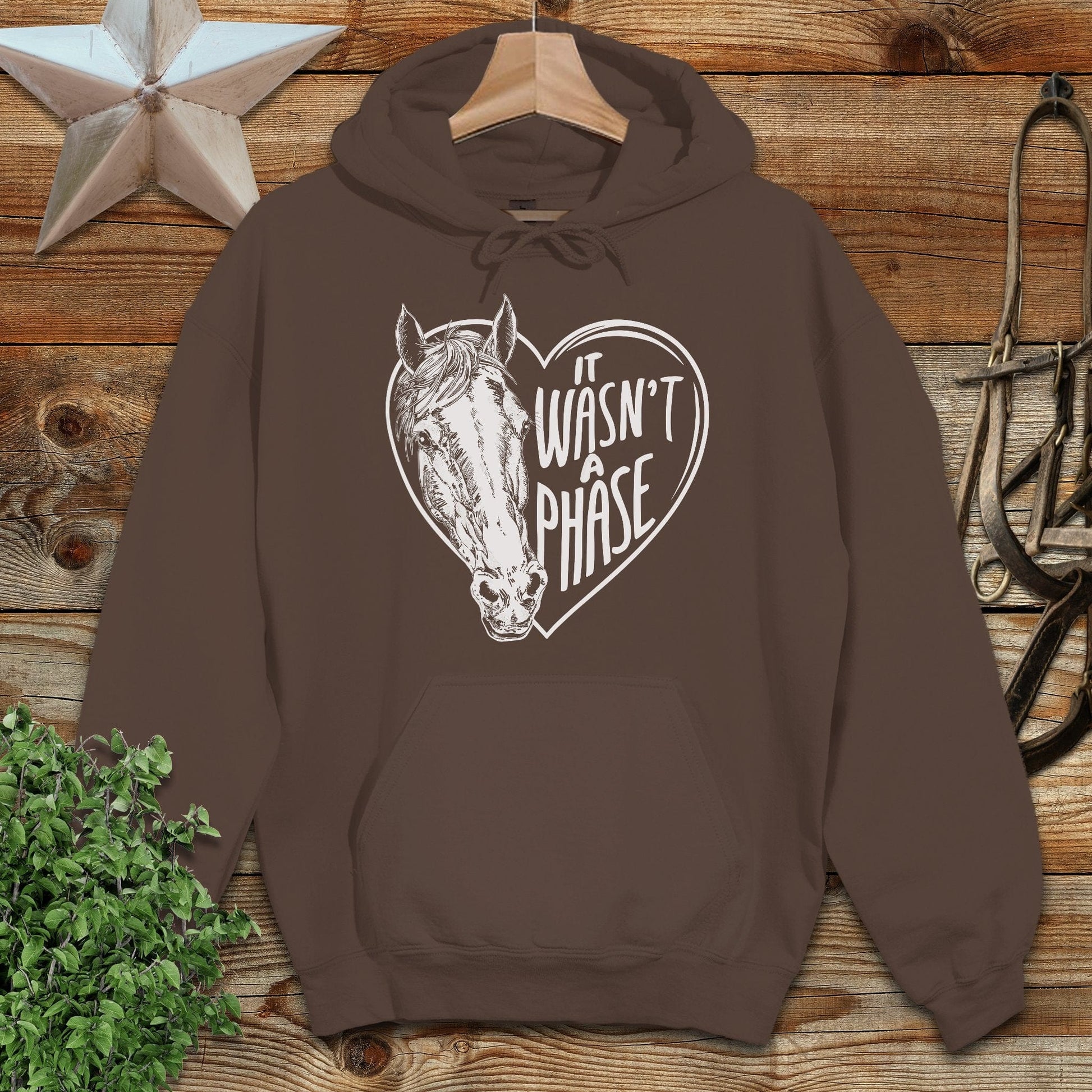 It Wasn't a Phase Hoodie