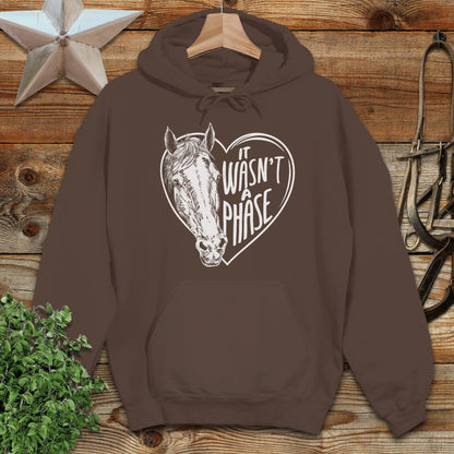 It Wasn't a Phase Hoodie