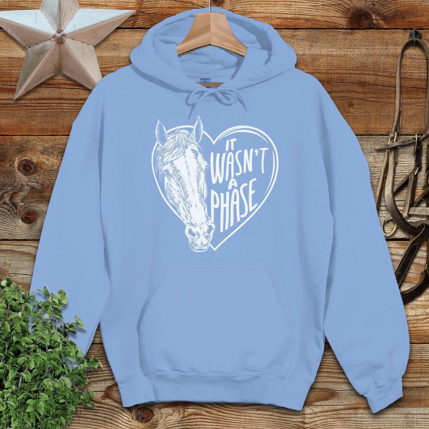 It Wasn't a Phase Hoodie