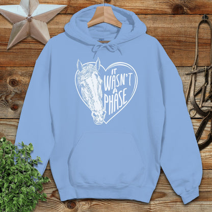 It Wasn't a Phase Hoodie