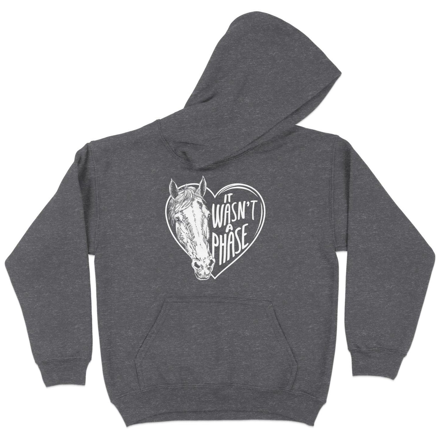 It Wasn't a Phase Hoodie (Youth)