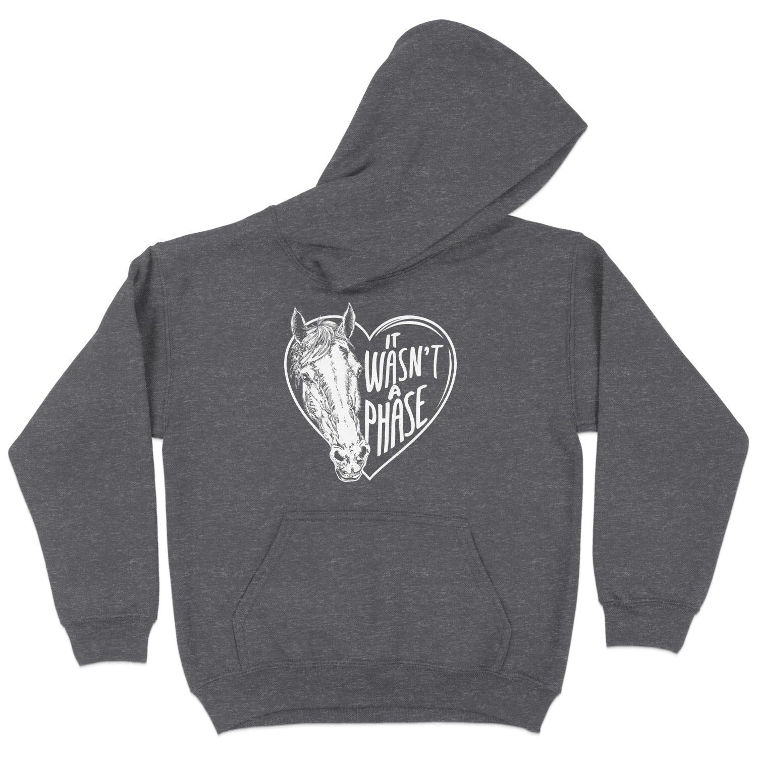 It Wasn't a Phase Hoodie (Youth)