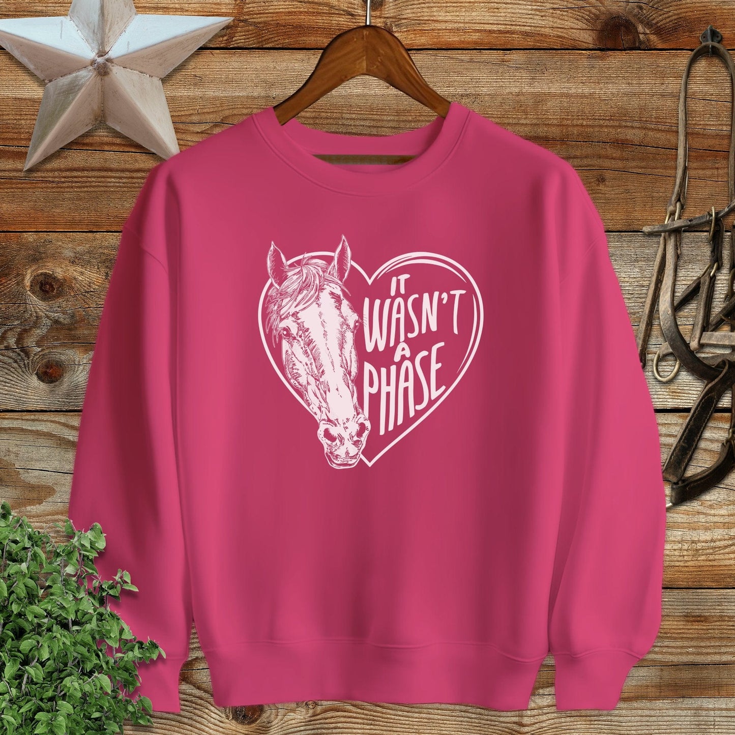 It Wasn't a Phase Sweatshirt