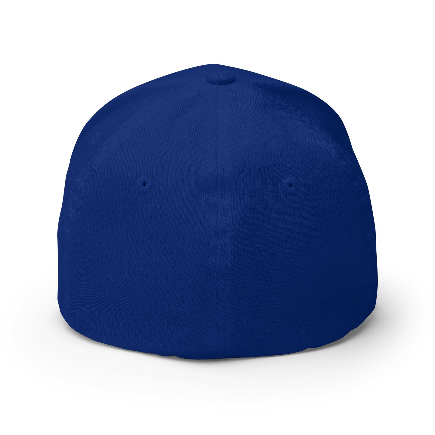 No Riding Today Cap - dark