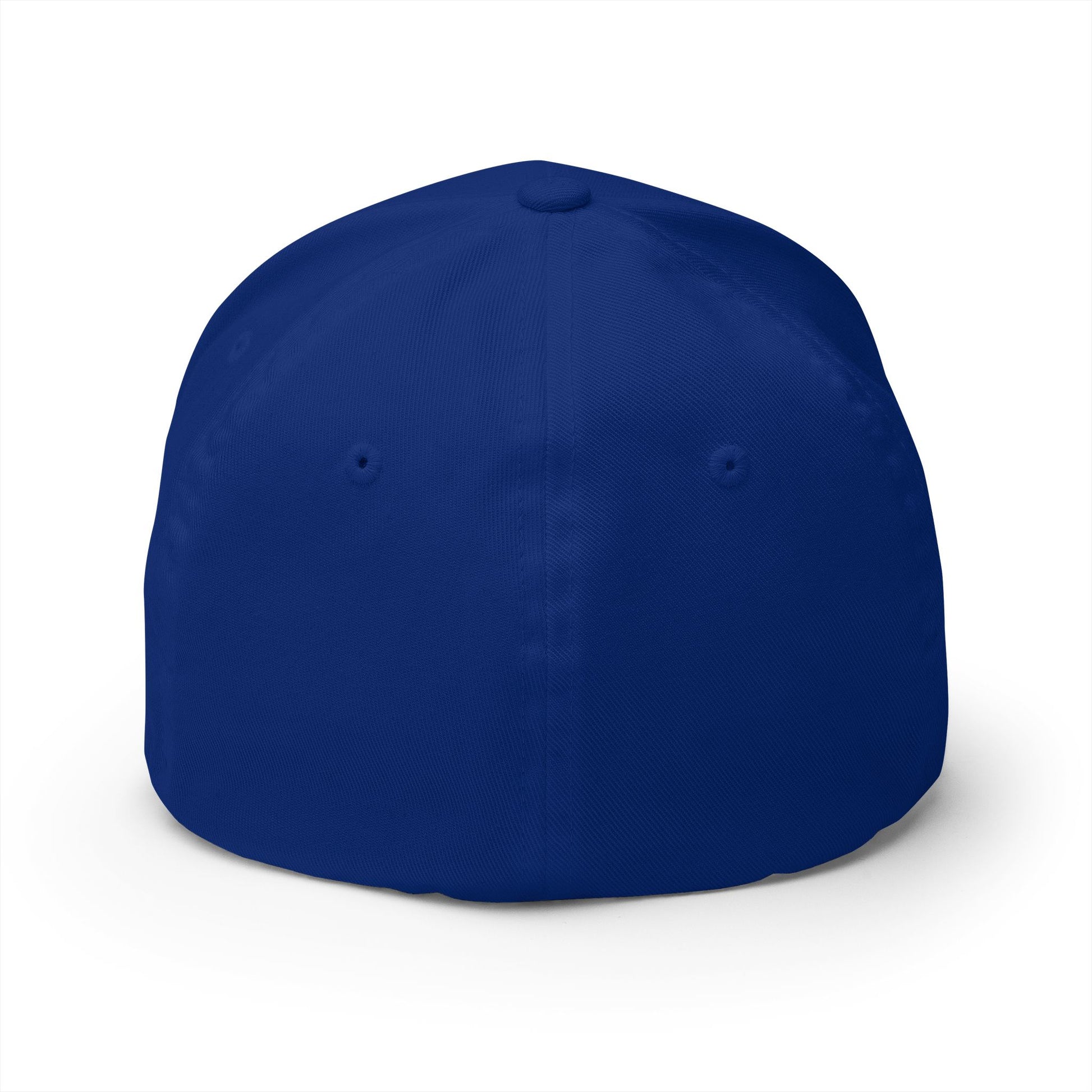 No Riding Today Cap - dark